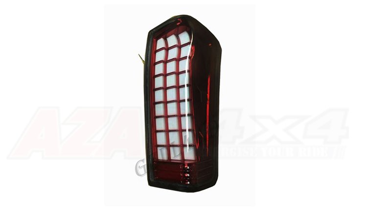 TAIL LAMPS (MATRIX LED) DRL